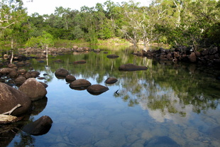 Stones in a river in a forest
